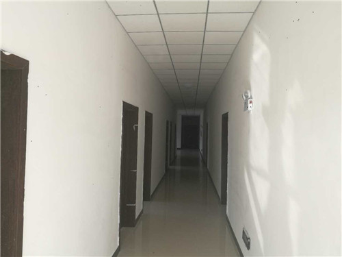 �����½���̖��