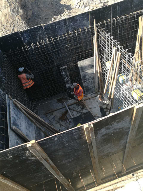 �����½���̖��