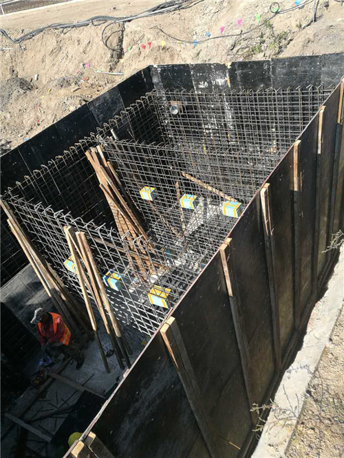 �����½���̖��