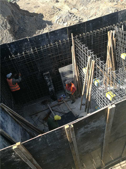 �����½���̖��